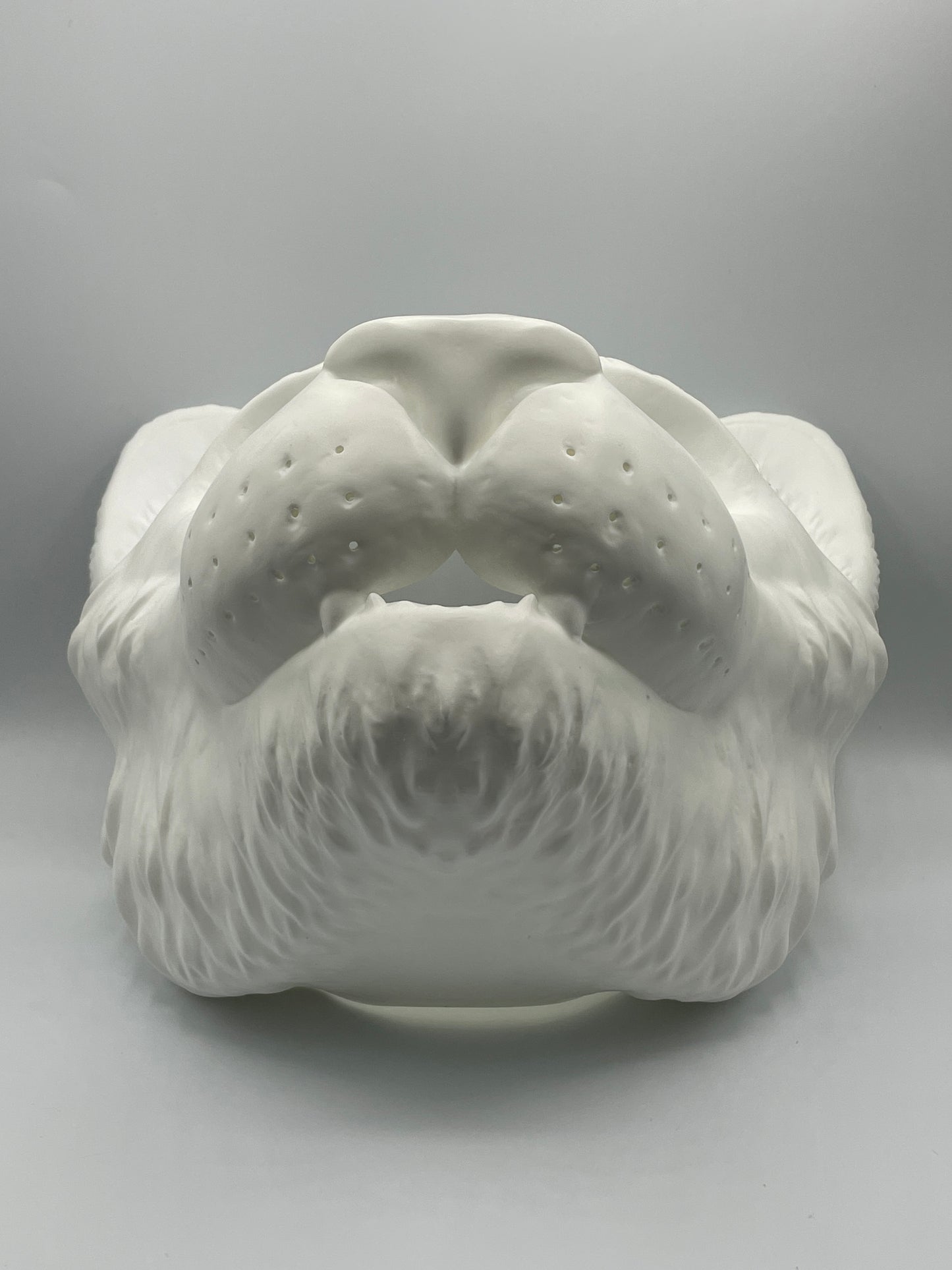 Resin Domestic Cat Mask (Blank)