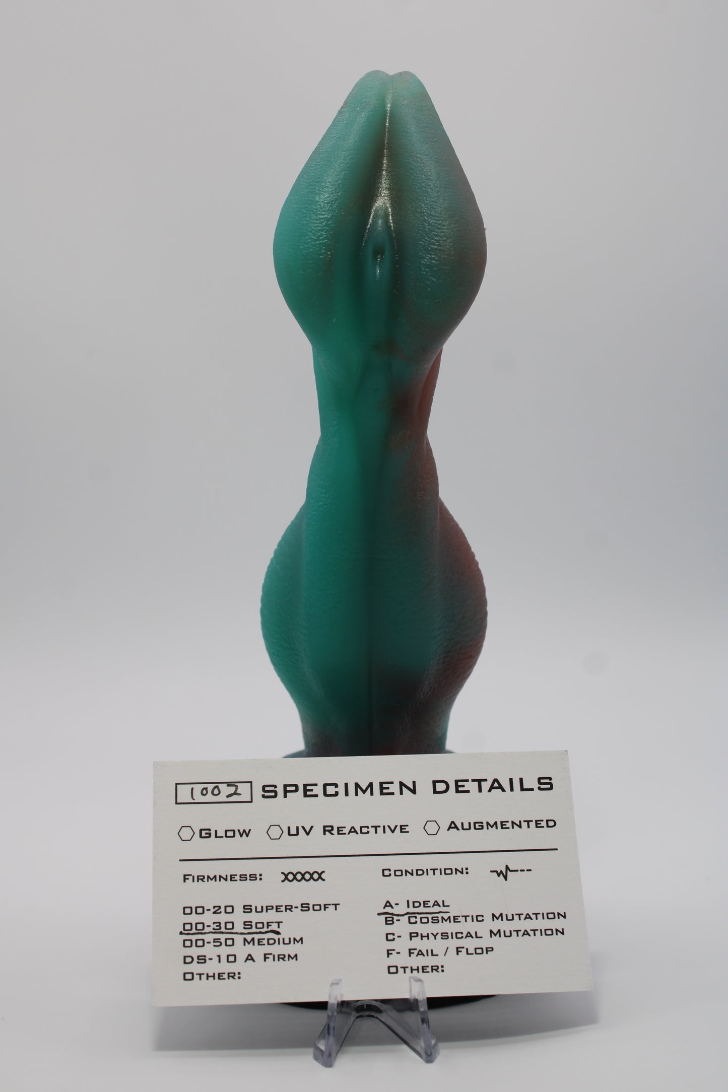 Cassius (Medium)