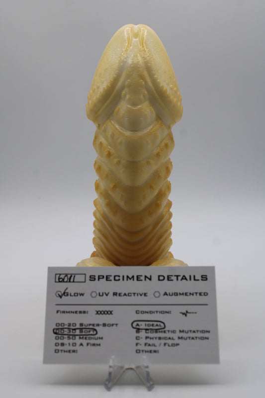 Alabaster (Medium)