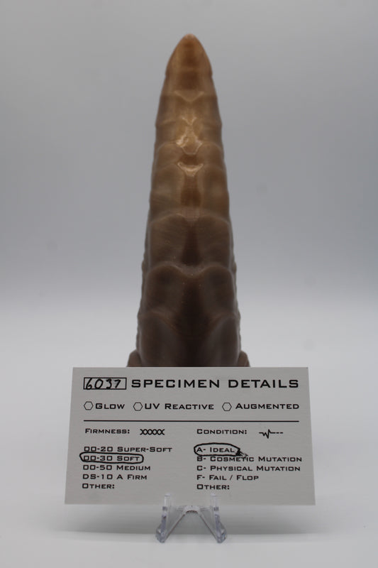 Caiman (Medium)