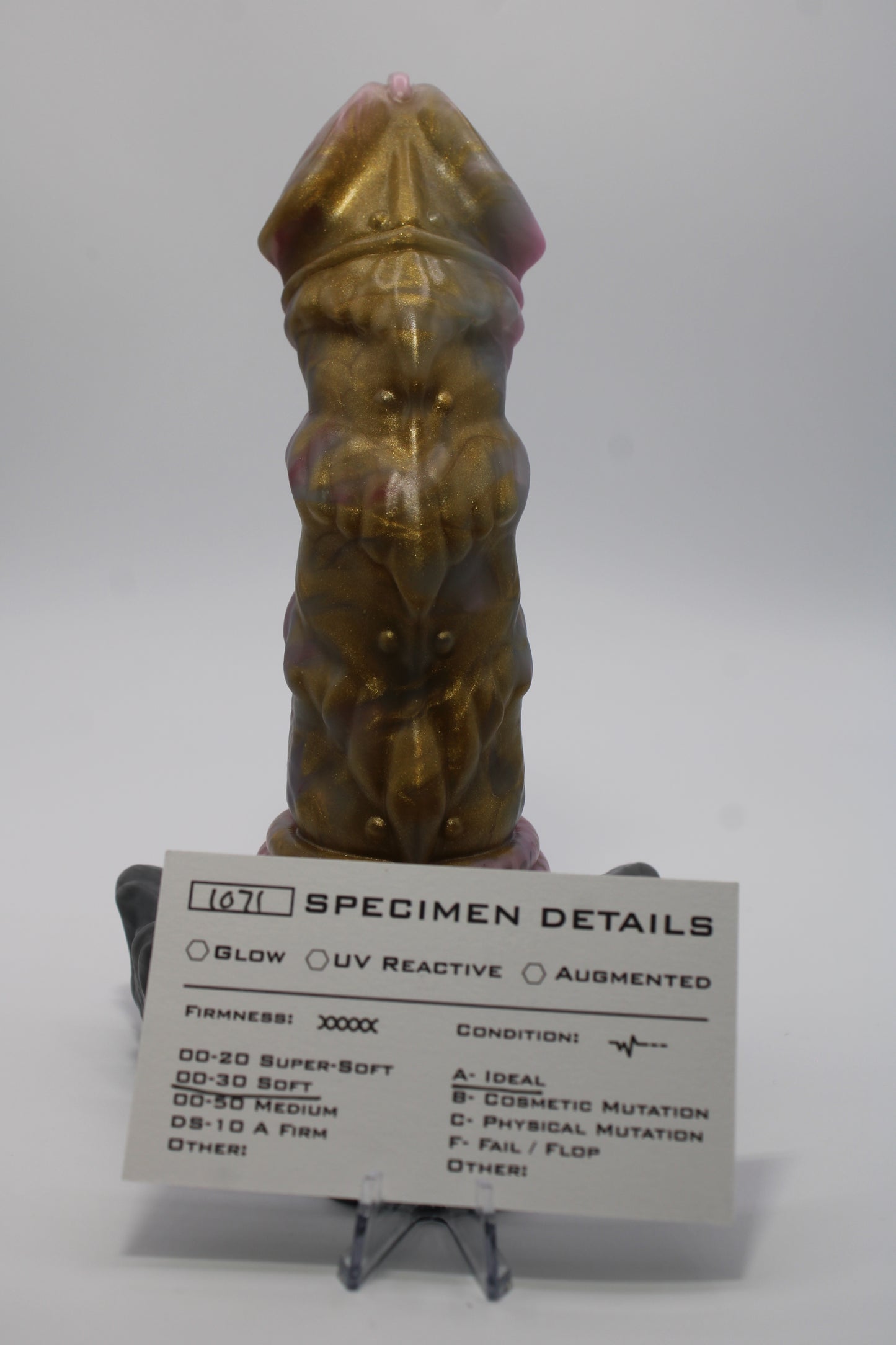 Prince (Medium)