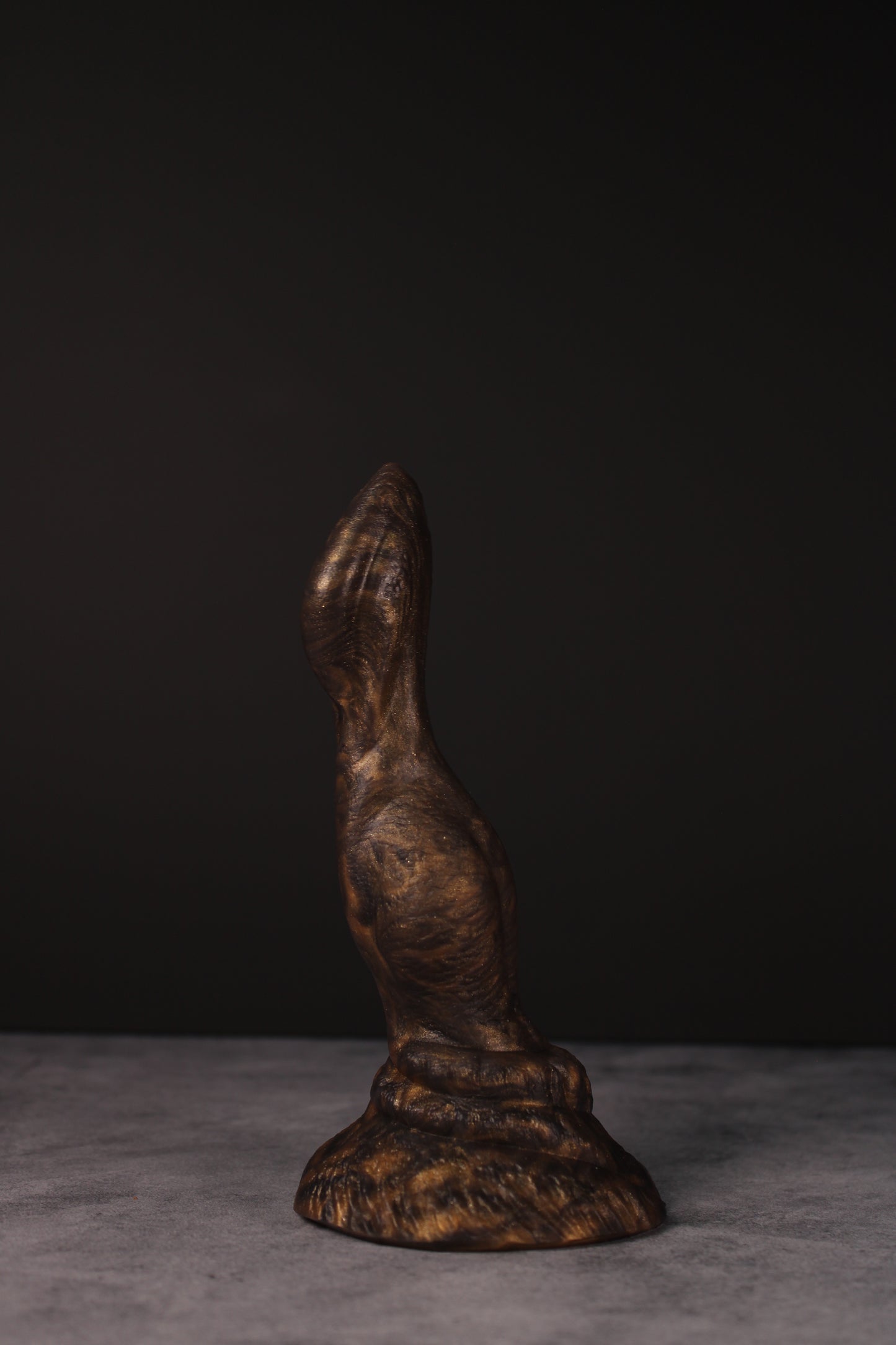 Cassius (Small | Soft)