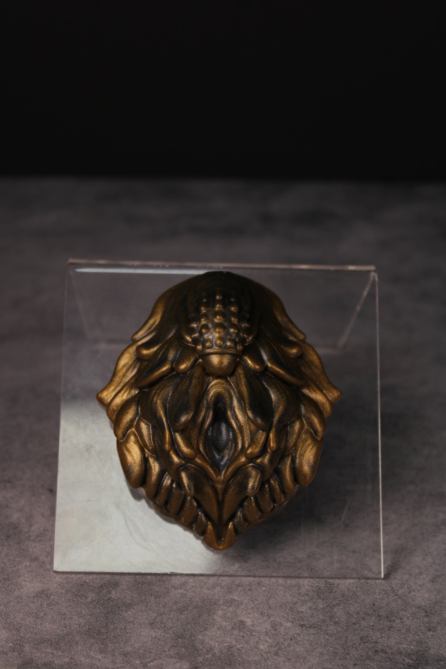 Dionaea Grinder (Petite | Hybrid)