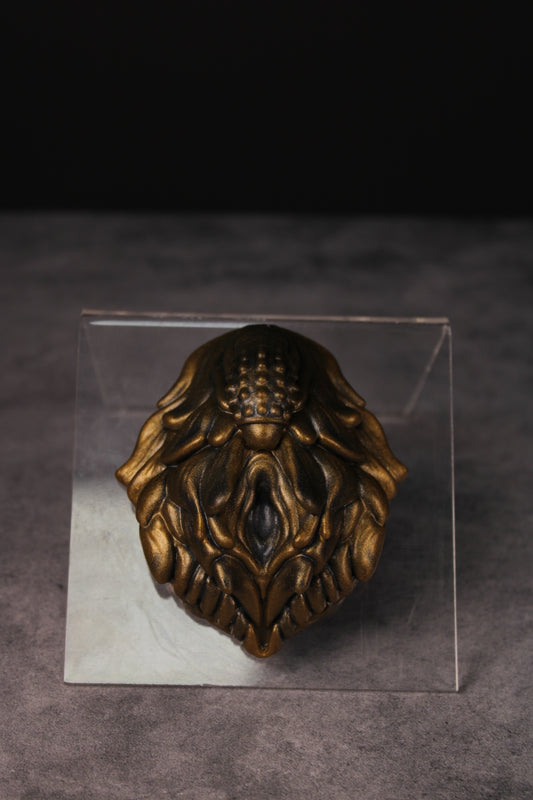 Dionaea Grinder (Petite | Hybrid)