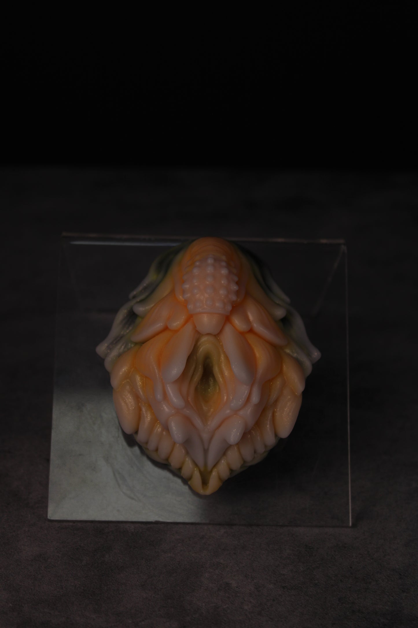 Dionaea Grinder (Petite | Soft)