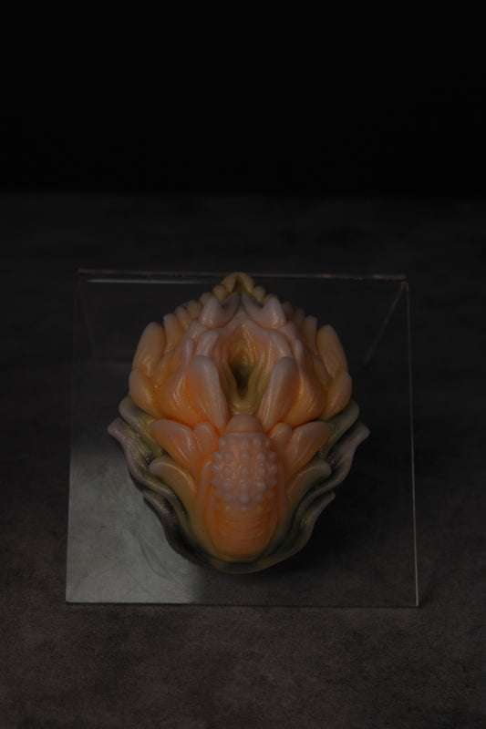 Dionaea Grinder (Petite | Soft)