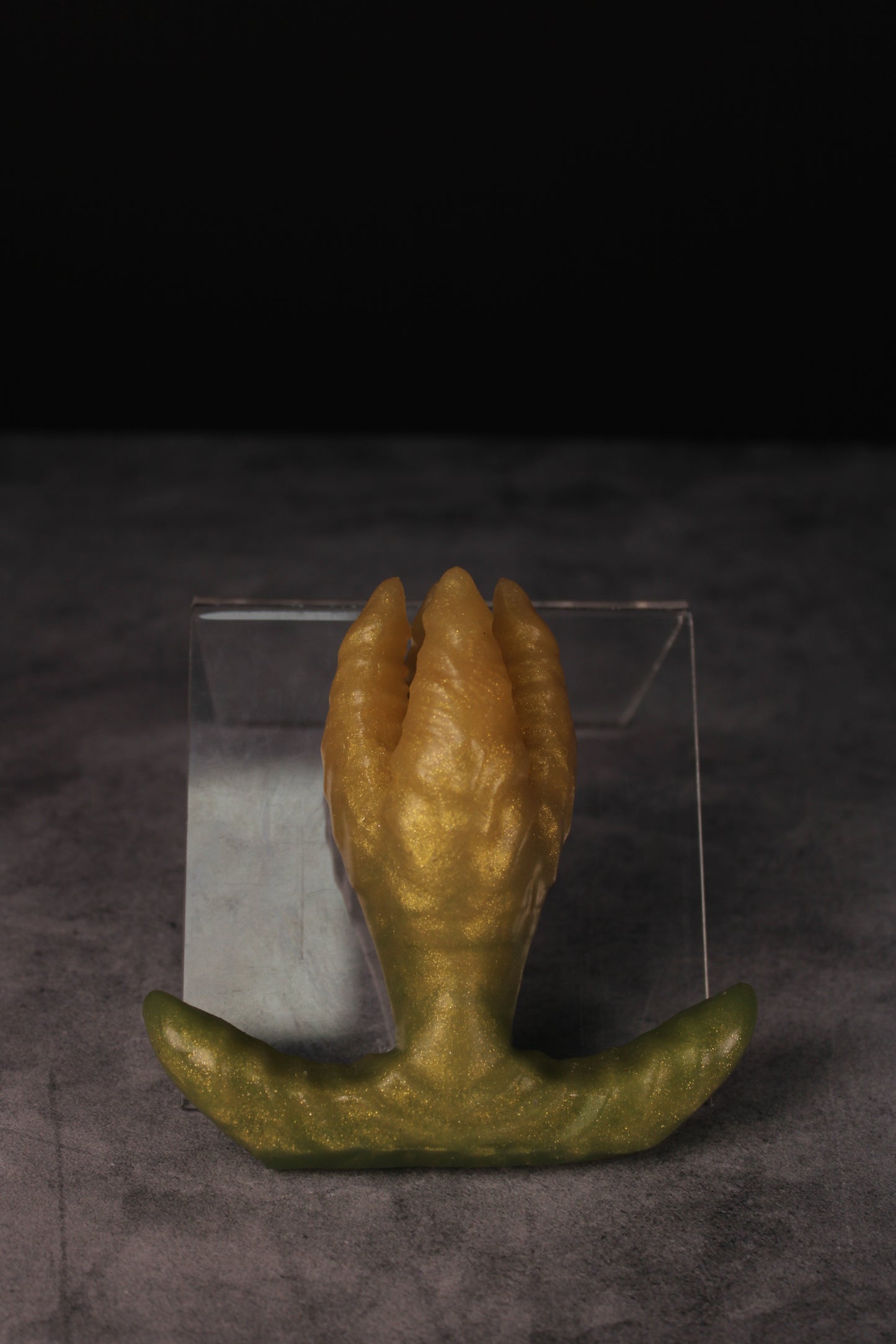 Medusoid (Standard | Soft)