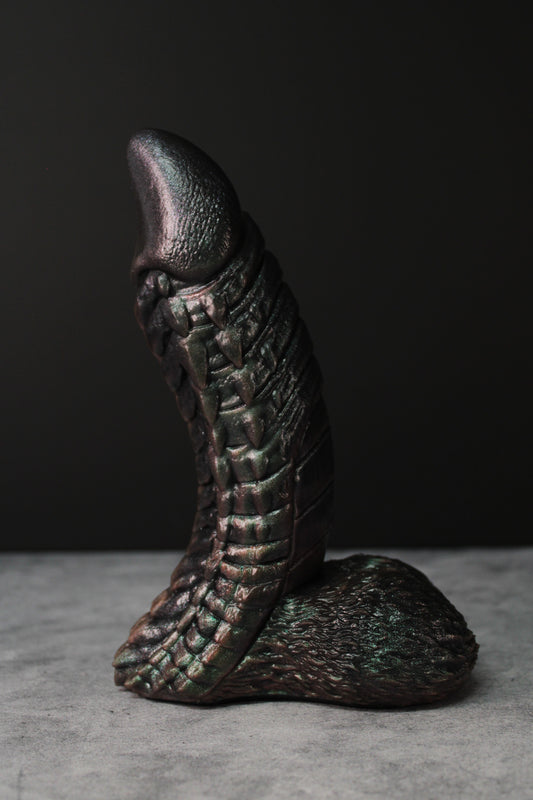 Xenocat (Medium | Soft)