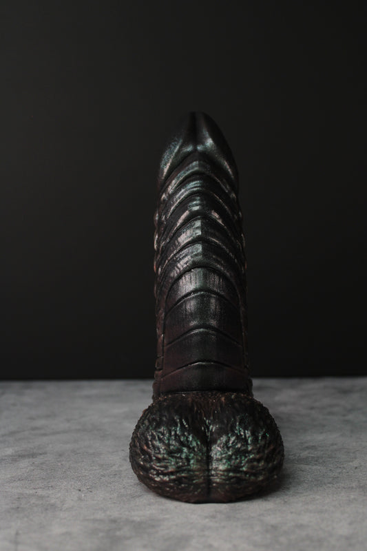 Xenocat (Medium | Soft)