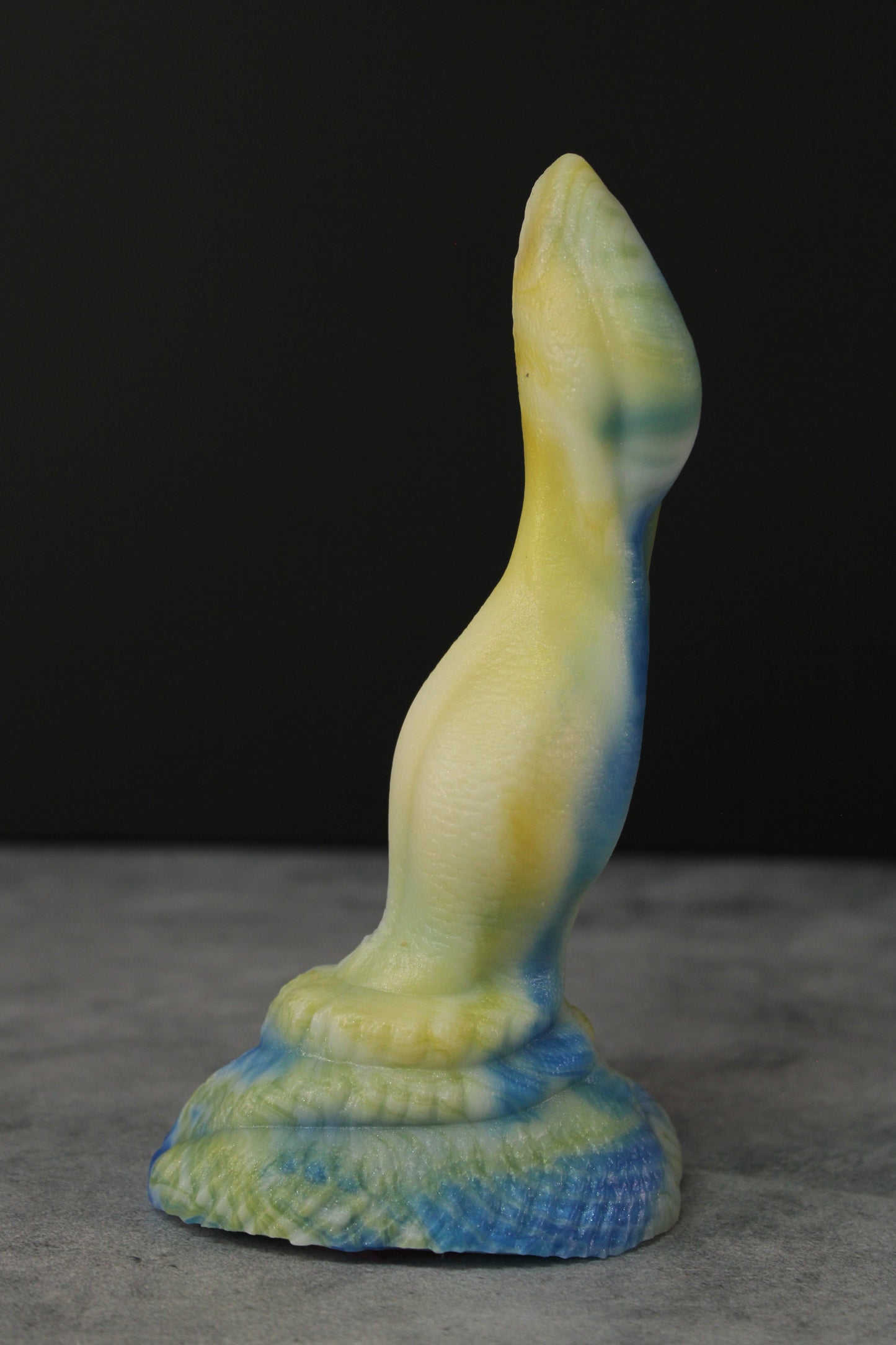 Cassius (Small | Soft)