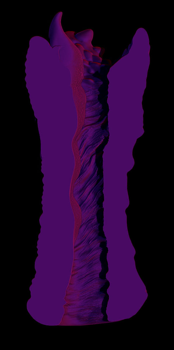 Lesuth Stroker (Standard | SuperSoft)